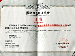 泓宝-国际绿色经济协会理事单位