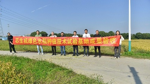 芯生机绿色水稻种植技术试验基地测产验收圆满完成，试验成果显著